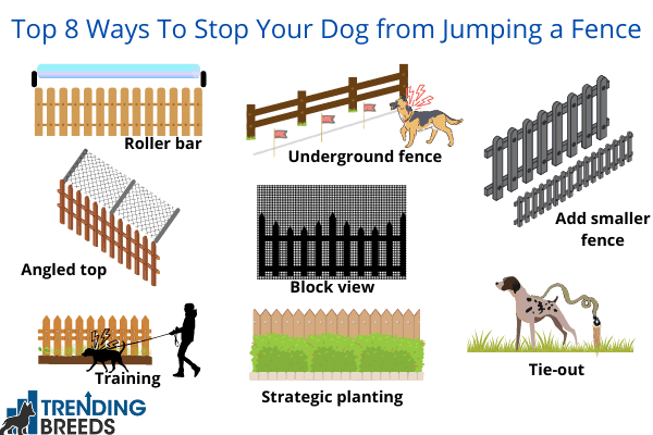 Graphic showing 8 way to prevent dog from jumping over a fence