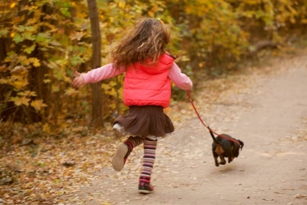 A little girl with a red vest running down a country lane with her leashed Dachshund.