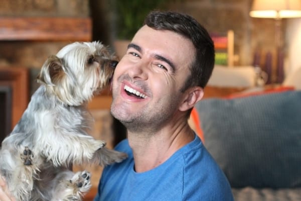 A cute Terrier licking and nibbling a man's ear and face.