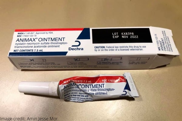 An open box of Animax Ointment with the partially used tube below.