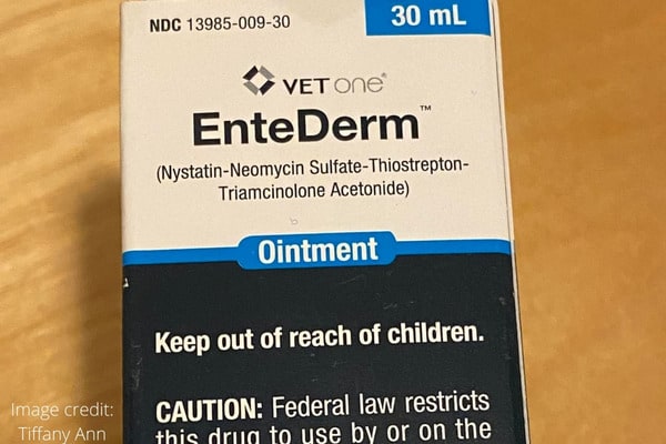 EnteDerm Ointment box