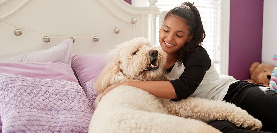 A picture of a girl cuddling her loving Labradoodle.