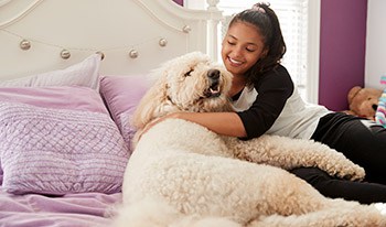 Do Labradoodles Like To Cuddle? How To Improve Your Snuggle Chances (2023)