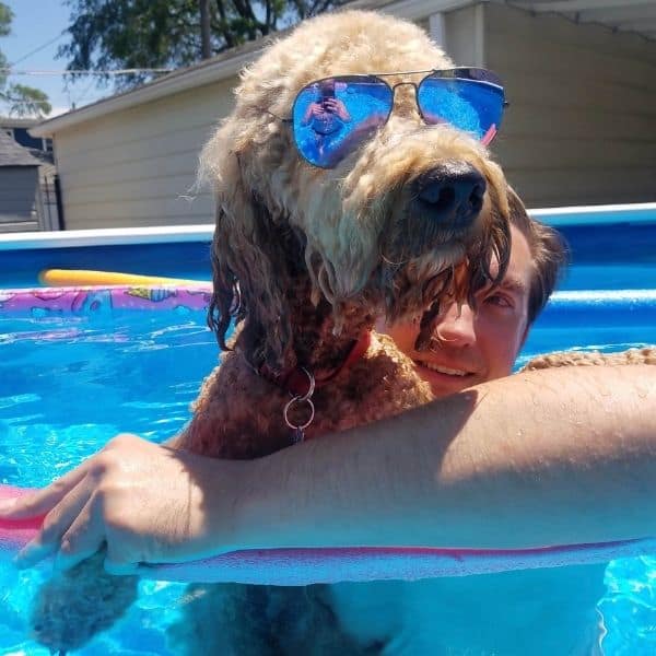 Oliver in the Pool with Sunglasses