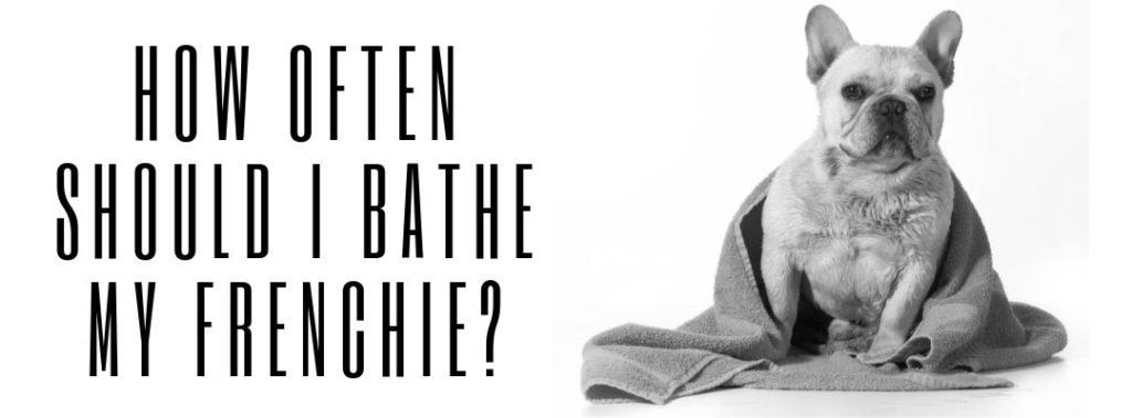 How Often Should I Bathe My Frenchie?