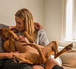 Do Vizslas Like To Cuddle? Five Tips For Quality Relaxing Time