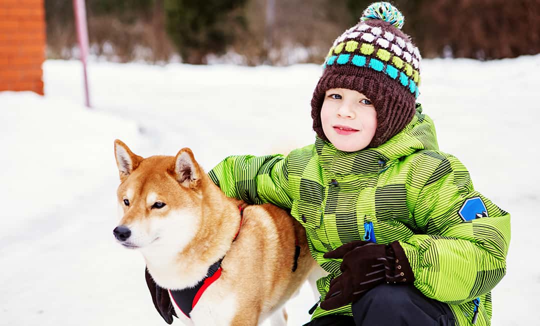 shiba inu and children