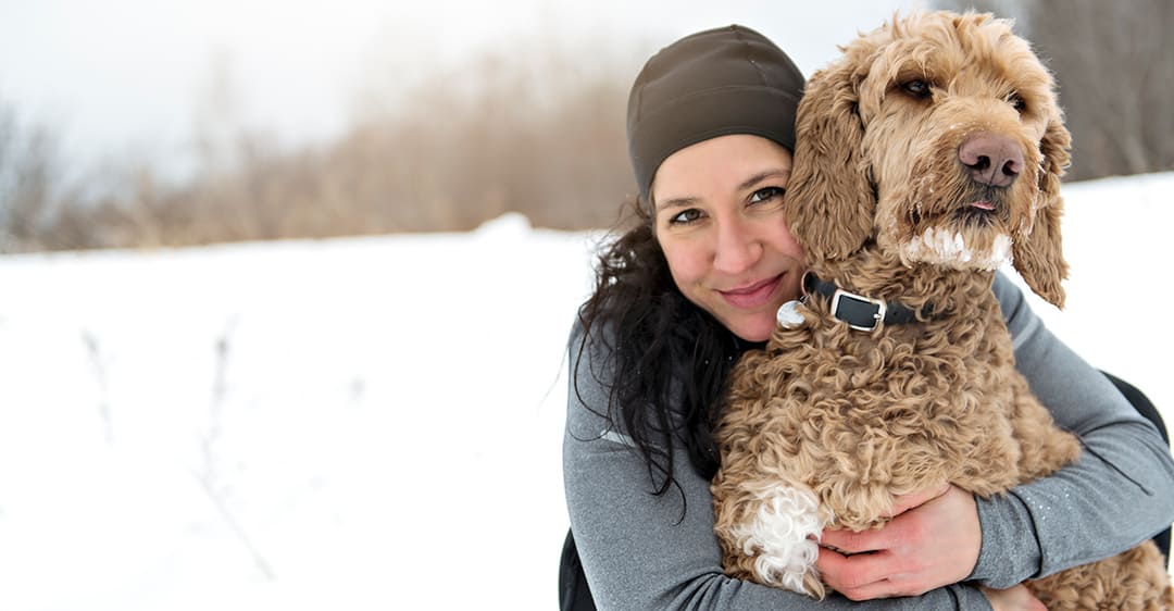 are goldendoodles good family pets