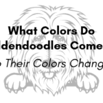 What Colors Do Goldendoodles Come In? Do Their Colors Change?