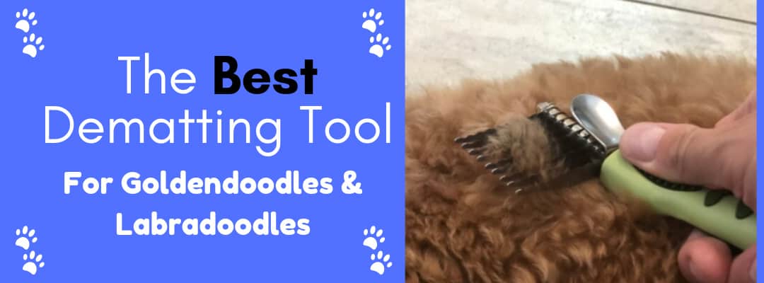 1 Best Dematting Tool For Goldendoodles 