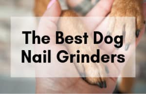 The Best Dog Nail Grinders