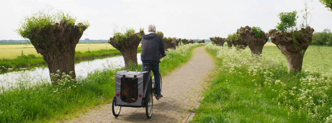 Best Dog Bike Trailer