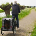 Bring Your Pup Along! Here Are The Best Dog Bike Trailers