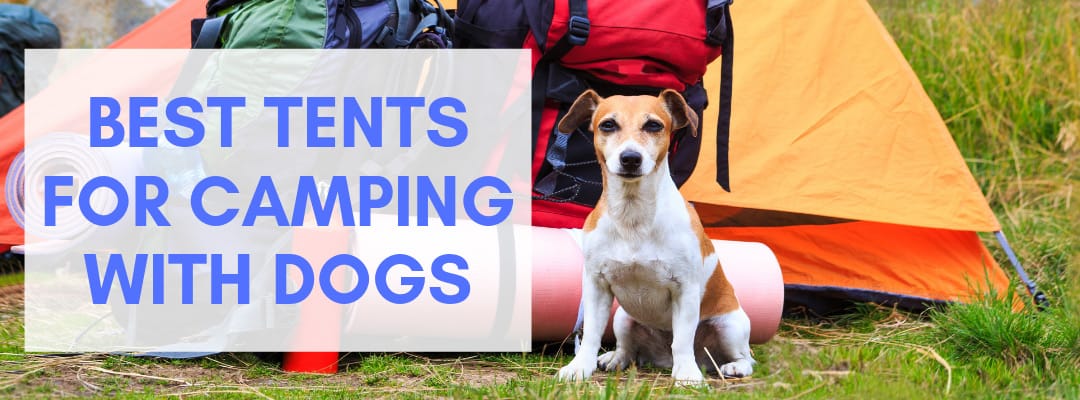 Best Tents for Camping With Dogs