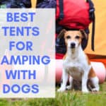 Best Tents for Camping With Dogs