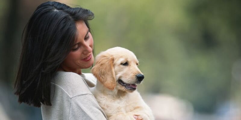 Socializing a puppy is an important process that prepares them for what they will face later in life.