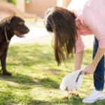 Dog Poop Smelling up the Garage? Here's How to Fix the Stink
