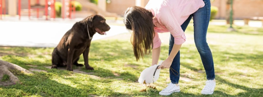 Lady picking up dog poop next to her garage.