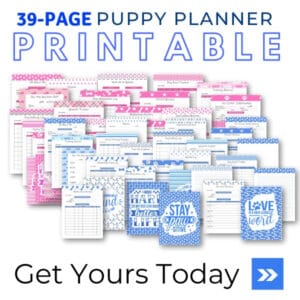 Blue and Pink Puppy Planner Printable