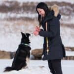 Pomsky being trained by her owner outside