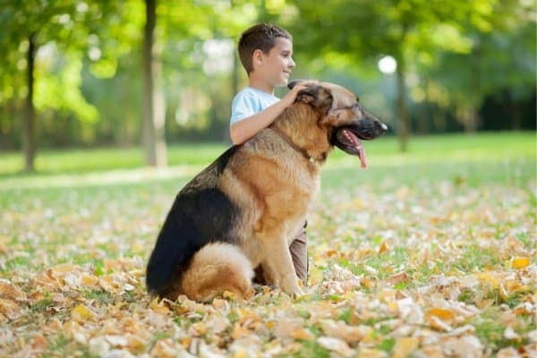 Young boy with his German Shepherd