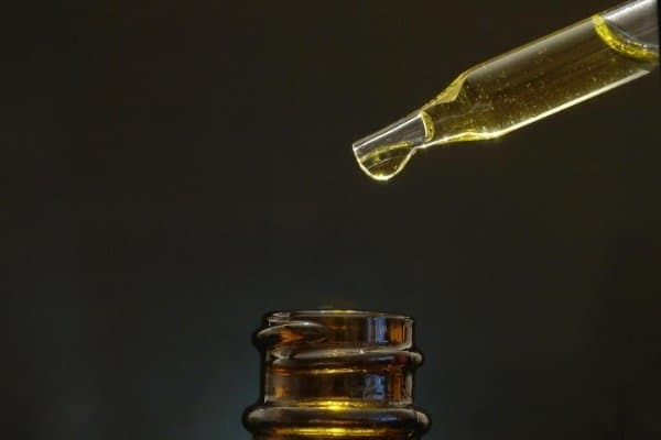 What Is CBD Oil for Dogs? What Does It Do? (2024)