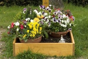 A dog's grave marked with several pots of flowers.