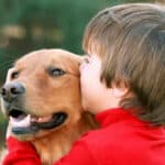 Do Dogs Like To Be Kissed? The Answer May Surprise You (2023)
