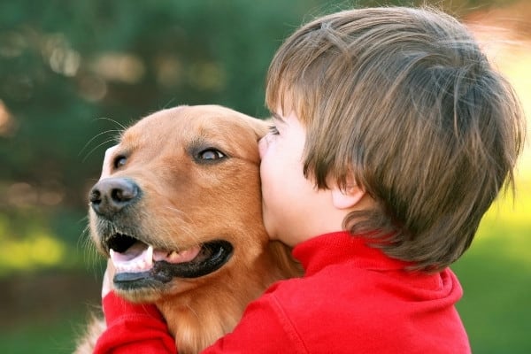 A little boy in a red shirt giving a Golden Retriever a kiss on the cheek.