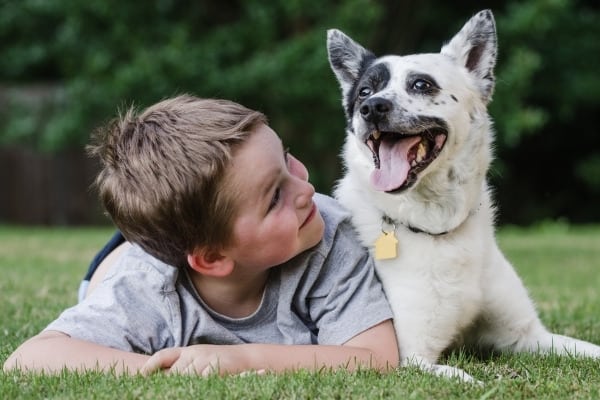 A young boy lying in the grass beside his black and white Blue Heeler.