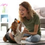 Why Your Dog Chews Toys on You: Top 5 Reasons Explained