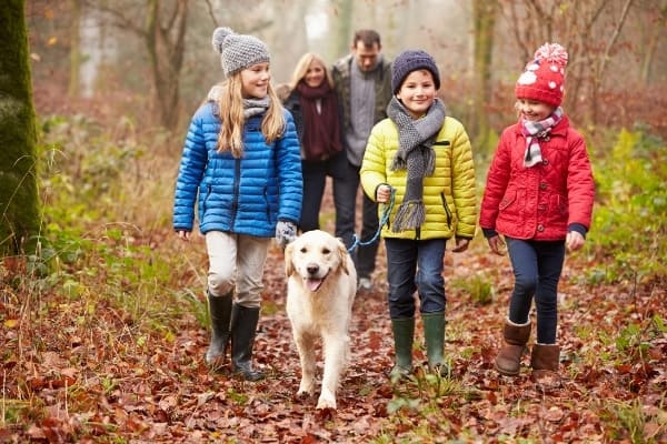 A family of 5 walking a young Golden Retriever on a woodland trail in autumn.
