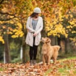 Golden Retriever gazing up lovingly at female owner while walking together amidst fall foliage.