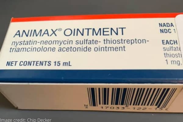 A box of Animax Ointment.