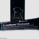 EnteDerm Ointment tube and box