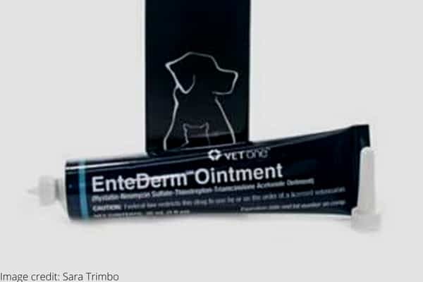 EnteDerm Ointment tube and box