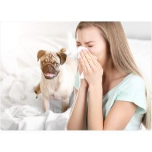 How-Are-Pet-Allergies-Treated