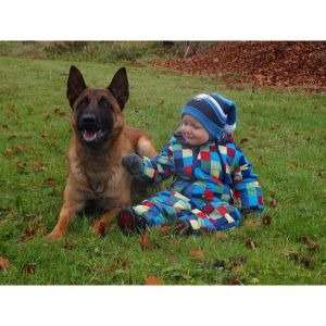 Children-belgian-malinois-dutch-shepherd