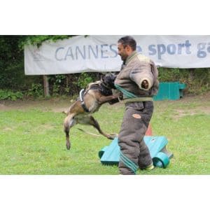 Conclusion-For-What-Is-The-Belgian-Malinois-Bite-Force