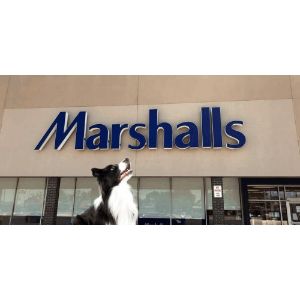 Does-Marshalls-Allow-Both-Pets-And-Service-Dogs