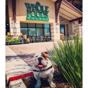 Does-Whole-Foods-Inforce-Their-No-Dog-Policy
