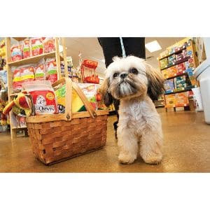 Why-Dont-Some-Marshalls-Stores-Allow-Pets