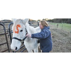 Equine-Rescue-of-Aiken