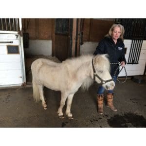 Maryland-Horse-Rescue-1.jpgMaryland-Horse-Rescue
