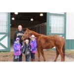 11 Best Horse Rescues in Missouri! (2024)