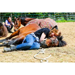 Top-4-Horse-Rescues-in-Maine
