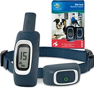 1. Petsafe On-leash Dog Training Collar