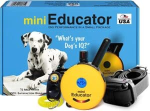 4. Educator ET-300 Shock Collar with Remote for Dogs