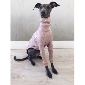 Find-a-Greyhound-Rescue-Shelter-Near-Me-in
