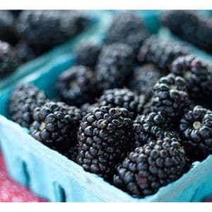 Blackberries